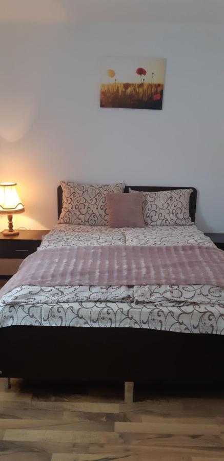 ואדו קרישולוי Pensiunea Turistica Retreat Belvedere מראה חיצוני תמונה