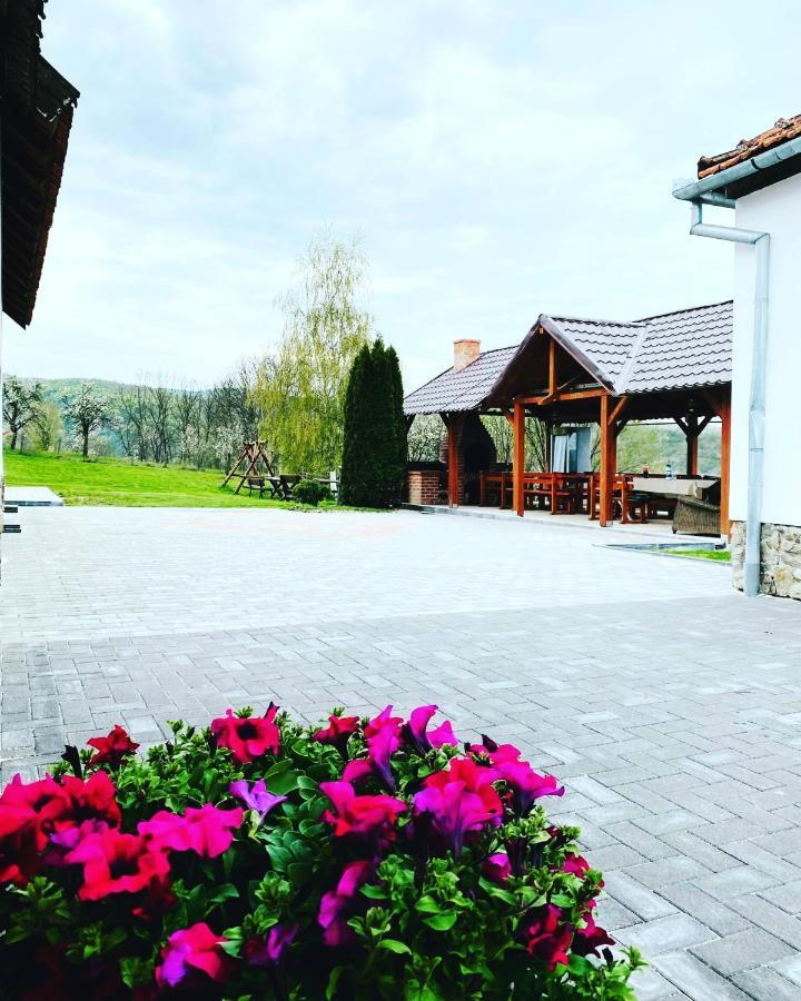 ואדו קרישולוי Pensiunea Turistica Retreat Belvedere מראה חיצוני תמונה