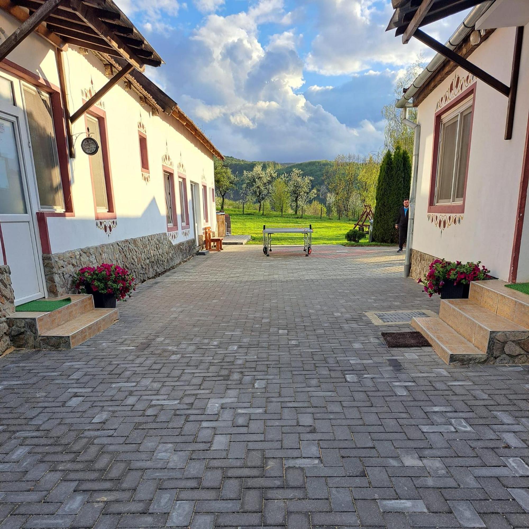 ואדו קרישולוי Pensiunea Turistica Retreat Belvedere מראה חיצוני תמונה