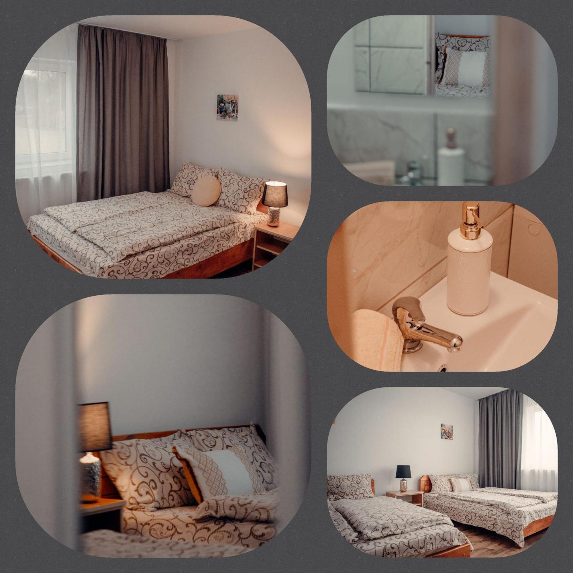 ואדו קרישולוי Pensiunea Turistica Retreat Belvedere מראה חיצוני תמונה
